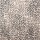 Stanton Carpet: Kiki Chromium